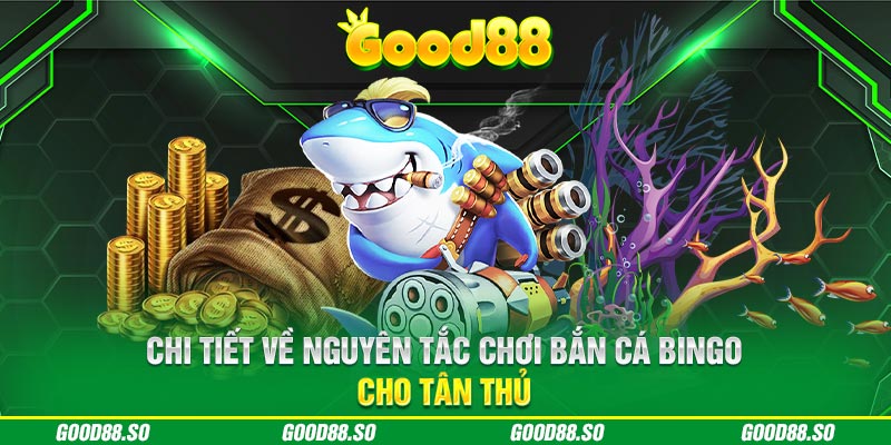 Chi tiết về nguyên tắc chơi Bắn cá Bingo cho tân thủ