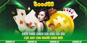 Kiến Thức Cách Soi Cầu Tài Xỉu Cực Hay Cho Người Chơi Mới