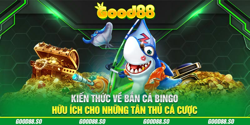 Kiến Thức Về Bắn Cá Bingo Hữu Ích Cho Những Tân Thủ Cá Cược