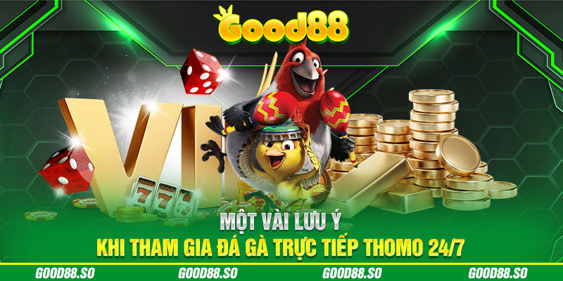 Một vài lưu ý khi tham gia đá gà trực tiếp thomo 24/7